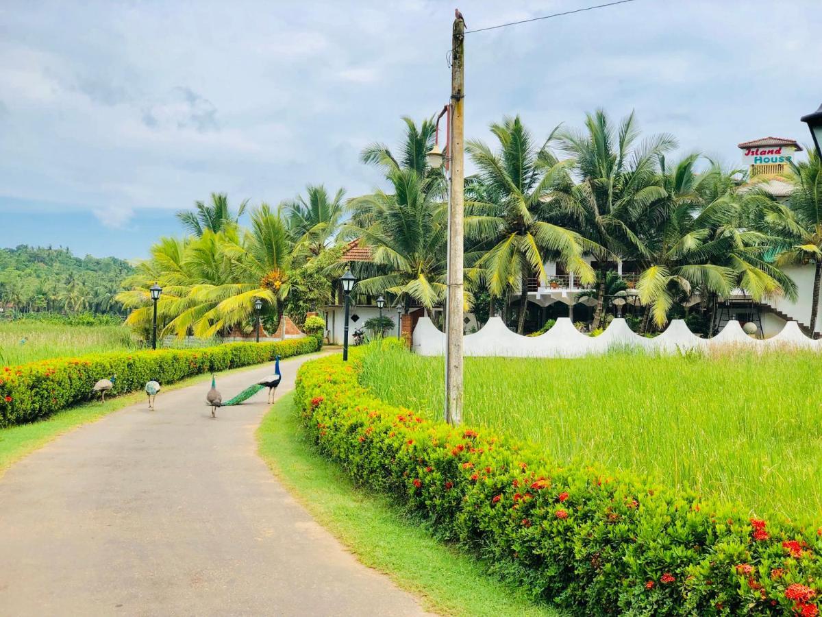 Hotel Island House Dikwella Sur Exterior foto